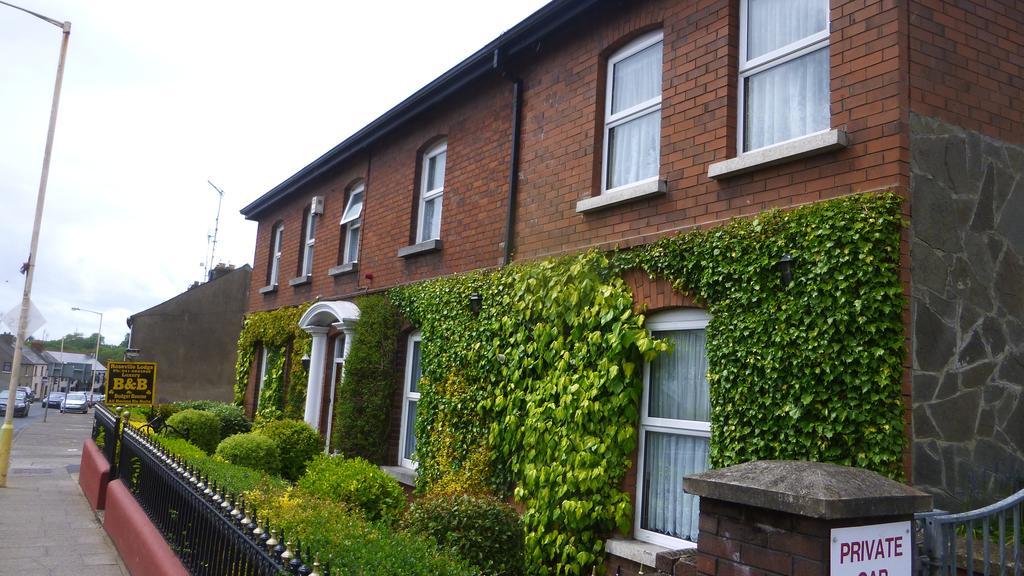 Roseville Lodge B&B Drogheda Exterior foto